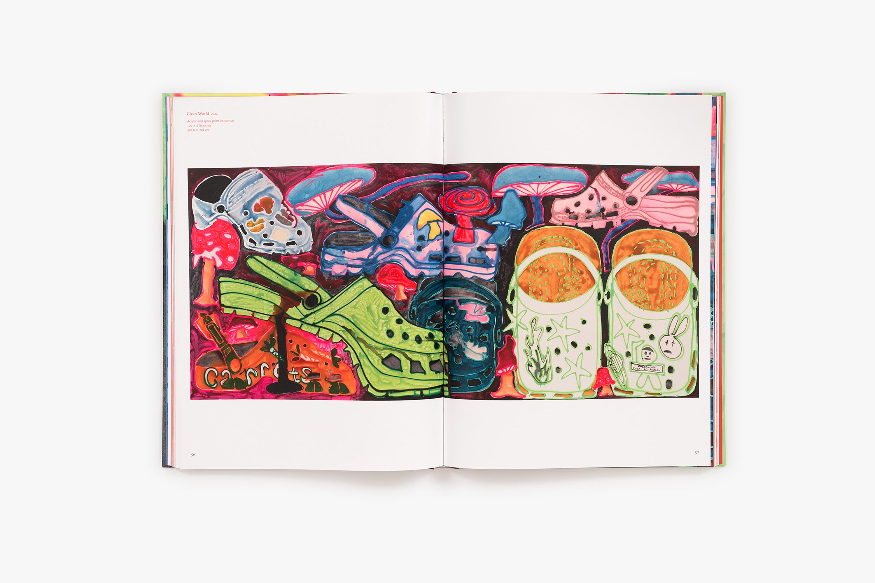 Painting my online crocs - Main Image